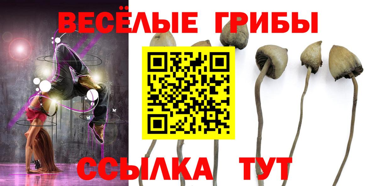 купить наркотики цена  Вход с VPN  Галлюциногенные грибы Cubensis  Елабуга  Псилоцибиновые грибы прущие грибы 