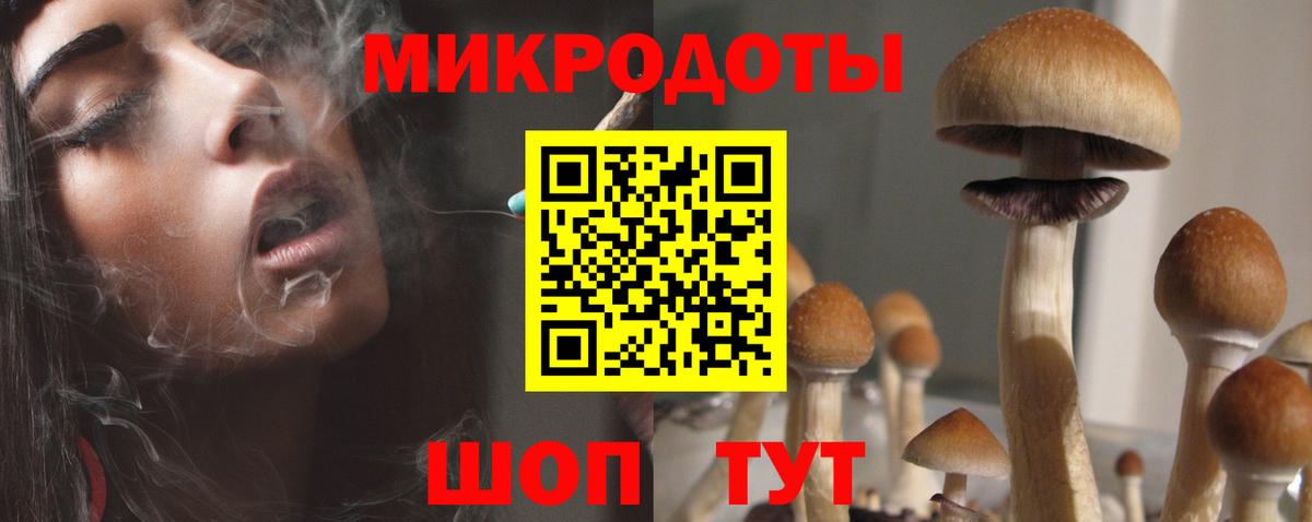 Псилоцибиновые грибы Psilocybine cubensis Елабуга